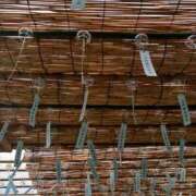 ヒメ日記 2025/08/25 17:29 投稿 蜂楽（ばちら） 丸妻 錦糸町店