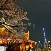 ヒメ日記 2026/04/05 22:45 投稿 蜂楽（ばちら） 丸妻 錦糸町店