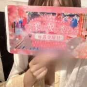 ヒメ日記 2025/06/20 09:37 投稿 ひまわり 三つ乱本館