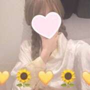 ヒメ日記 2025/06/21 11:27 投稿 ひまわり 三つ乱本館