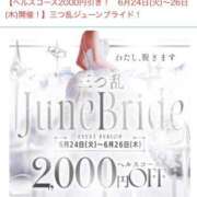 ヒメ日記 2025/06/23 18:17 投稿 ひまわり 三つ乱本館