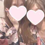 ヒメ日記 2025/07/02 20:17 投稿 ひまわり 三つ乱本館