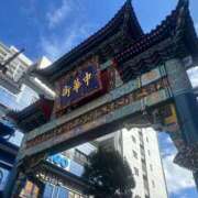 ヒメ日記 2025/07/15 14:47 投稿 ひまわり 三つ乱本館