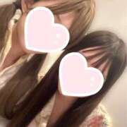 ヒメ日記 2025/07/18 18:07 投稿 ひまわり 三つ乱本館