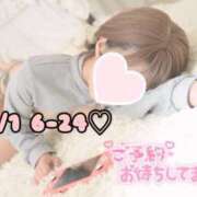 ヒメ日記 2025/07/30 23:27 投稿 ひまわり 三つ乱本館