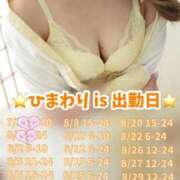 ヒメ日記 2025/08/01 21:22 投稿 ひまわり 三つ乱本館