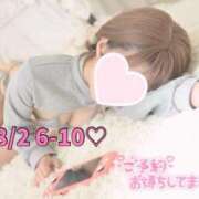 ヒメ日記 2025/08/02 07:27 投稿 ひまわり 三つ乱本館