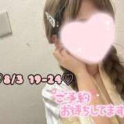 ヒメ日記 2025/08/03 17:07 投稿 ひまわり 三つ乱本館