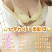 ヒメ日記 2025/08/05 00:27 投稿 ひまわり 三つ乱本館