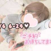 ヒメ日記 2025/08/06 05:57 投稿 ひまわり 三つ乱本館