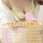 ヒメ日記 2025/08/08 23:57 投稿 ひまわり 三つ乱本館