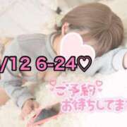 ヒメ日記 2025/08/11 22:47 投稿 ひまわり 三つ乱本館