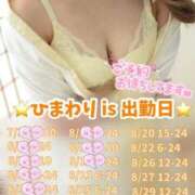 ヒメ日記 2025/08/12 23:57 投稿 ひまわり 三つ乱本館