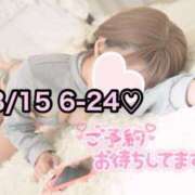 ヒメ日記 2025/08/14 12:17 投稿 ひまわり 三つ乱本館