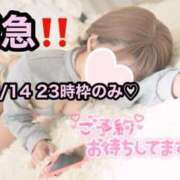 ヒメ日記 2025/08/14 21:43 投稿 ひまわり 三つ乱本館