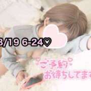 ヒメ日記 2025/08/15 20:07 投稿 ひまわり 三つ乱本館