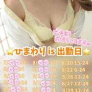 ヒメ日記 2025/08/19 23:57 投稿 ひまわり 三つ乱本館