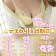 ヒメ日記 2025/08/20 23:57 投稿 ひまわり 三つ乱本館