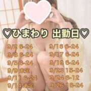 ヒメ日記 2025/08/22 18:17 投稿 ひまわり 三つ乱本館