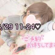 ヒメ日記 2025/08/28 19:17 投稿 ひまわり 三つ乱本館