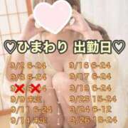 ヒメ日記 2025/08/31 21:17 投稿 ひまわり 三つ乱本館