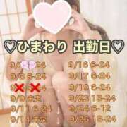 ヒメ日記 2025/09/02 23:47 投稿 ひまわり 三つ乱本館