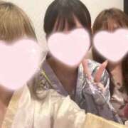 ヒメ日記 2025/09/04 16:37 投稿 ひまわり 三つ乱本館