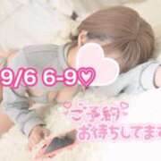 ヒメ日記 2025/09/06 00:47 投稿 ひまわり 三つ乱本館