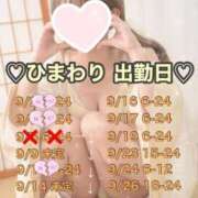 ヒメ日記 2025/09/06 09:29 投稿 ひまわり 三つ乱本館