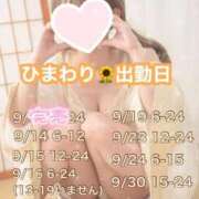 ヒメ日記 2025/09/09 19:17 投稿 ひまわり 三つ乱本館