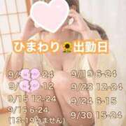 ヒメ日記 2025/09/14 14:47 投稿 ひまわり 三つ乱本館