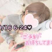 ヒメ日記 2025/09/16 10:37 投稿 ひまわり 三つ乱本館