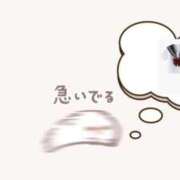 ヒメ日記 2025/09/16 11:47 投稿 ひまわり 三つ乱本館