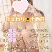 ヒメ日記 2025/09/16 23:37 投稿 ひまわり 三つ乱本館