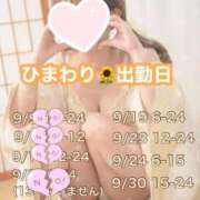 ヒメ日記 2025/09/18 23:37 投稿 ひまわり 三つ乱本館