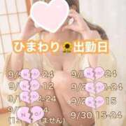 ヒメ日記 2025/09/24 19:07 投稿 ひまわり 三つ乱本館