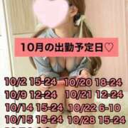 ヒメ日記 2025/09/25 19:17 投稿 ひまわり 三つ乱本館