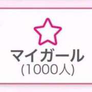 ヒメ日記 2025/10/03 08:31 投稿 ひまわり 三つ乱本館