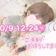 ヒメ日記 2025/10/04 10:37 投稿 ひまわり 三つ乱本館