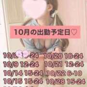 ヒメ日記 2025/10/08 20:41 投稿 ひまわり 三つ乱本館