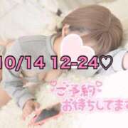 ヒメ日記 2025/10/14 11:30 投稿 ひまわり 三つ乱本館