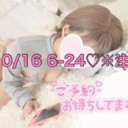 ヒメ日記 2025/10/16 06:27 投稿 ひまわり 三つ乱本館