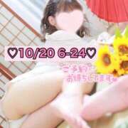 ヒメ日記 2025/10/20 00:17 投稿 ひまわり 三つ乱本館