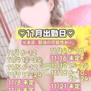 ヒメ日記 2025/10/20 21:17 投稿 ひまわり 三つ乱本館