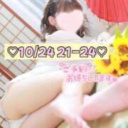 ヒメ日記 2025/10/22 11:18 投稿 ひまわり 三つ乱本館