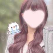 ヒメ日記 2025/10/24 20:57 投稿 ひまわり 三つ乱本館