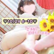 ヒメ日記 2025/10/28 23:47 投稿 ひまわり 三つ乱本館