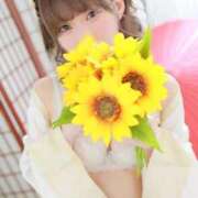 ヒメ日記 2025/10/29 13:07 投稿 ひまわり 三つ乱本館