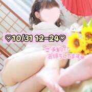 ヒメ日記 2025/10/31 10:32 投稿 ひまわり 三つ乱本館