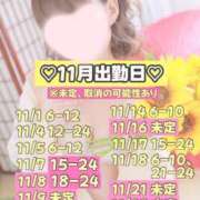 ヒメ日記 2025/11/05 17:17 投稿 ひまわり 三つ乱本館